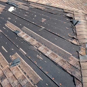 Curling shingles
